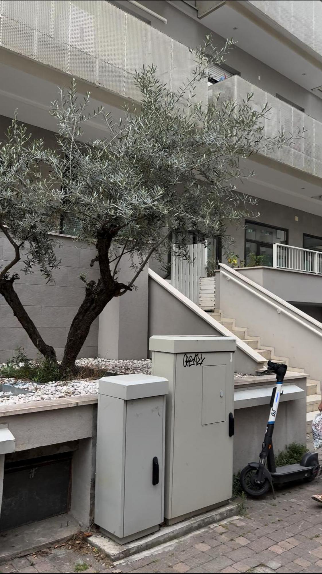 Apartament Rimini Marina Zewnętrze zdjęcie